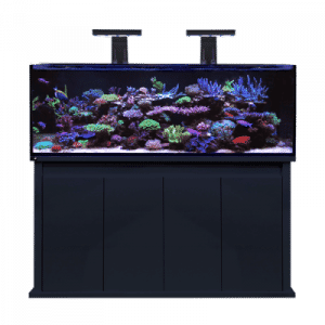 D-D Reef Pro 1500S Aquarium 