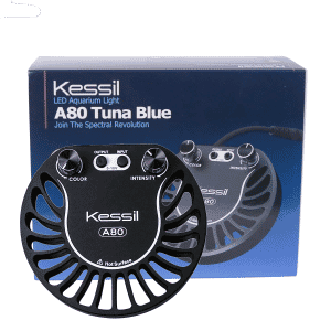 Kessil A80 Tuna Blue 