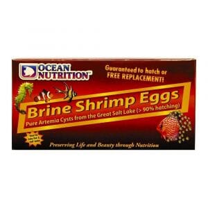 Ocean nutrition Brine shrimp eggs 20g 