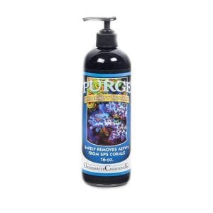 Underwater Creations Purge 16oz (Acropora Eating Flatworm Treatment) 