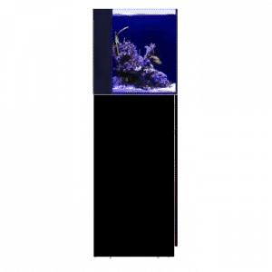 Red Sea DESKTOP Cube Aquarium & Black Cabinet 