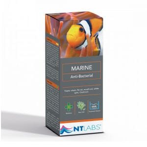 NT Labs - Anti Bacterial 