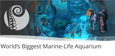 World’s Biggest Marine-Life Aquarium Set To Open In 2022